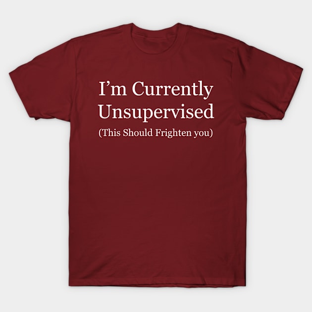 Unsupervised Adult Alert Tee - Sarcastic "This Should Frighten You" T-Shirt, Perfect for Casual Wear or Quirky Gift T-Shirt by TeeGeek Boutique